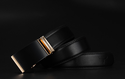 Male pin buckle belt - Free Shipping - Aurelia Clothing